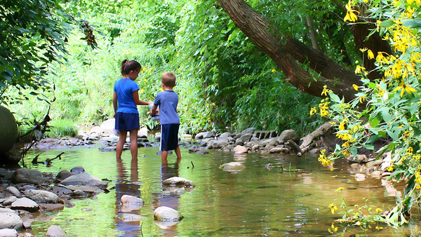 Children playing in a creek