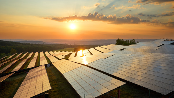 Solar panel array at sunset